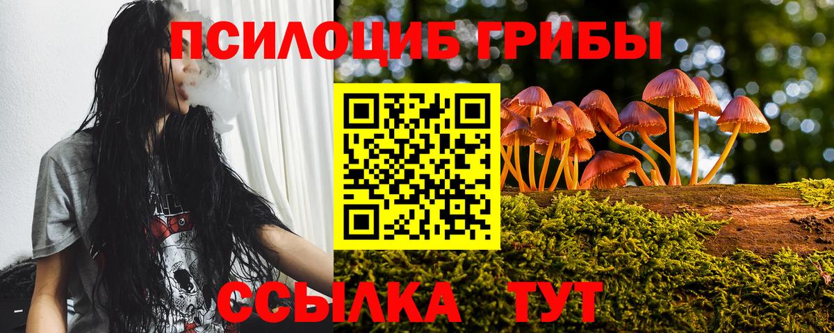 Псилоцибиновые грибы Psilocybine cubensis  хочу   Острогожск  Вход с VPN  Галлюциногенные грибы Magic Shrooms 
