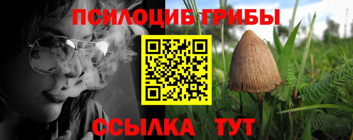 Псилоцибиновые грибы Cubensis Острогожск